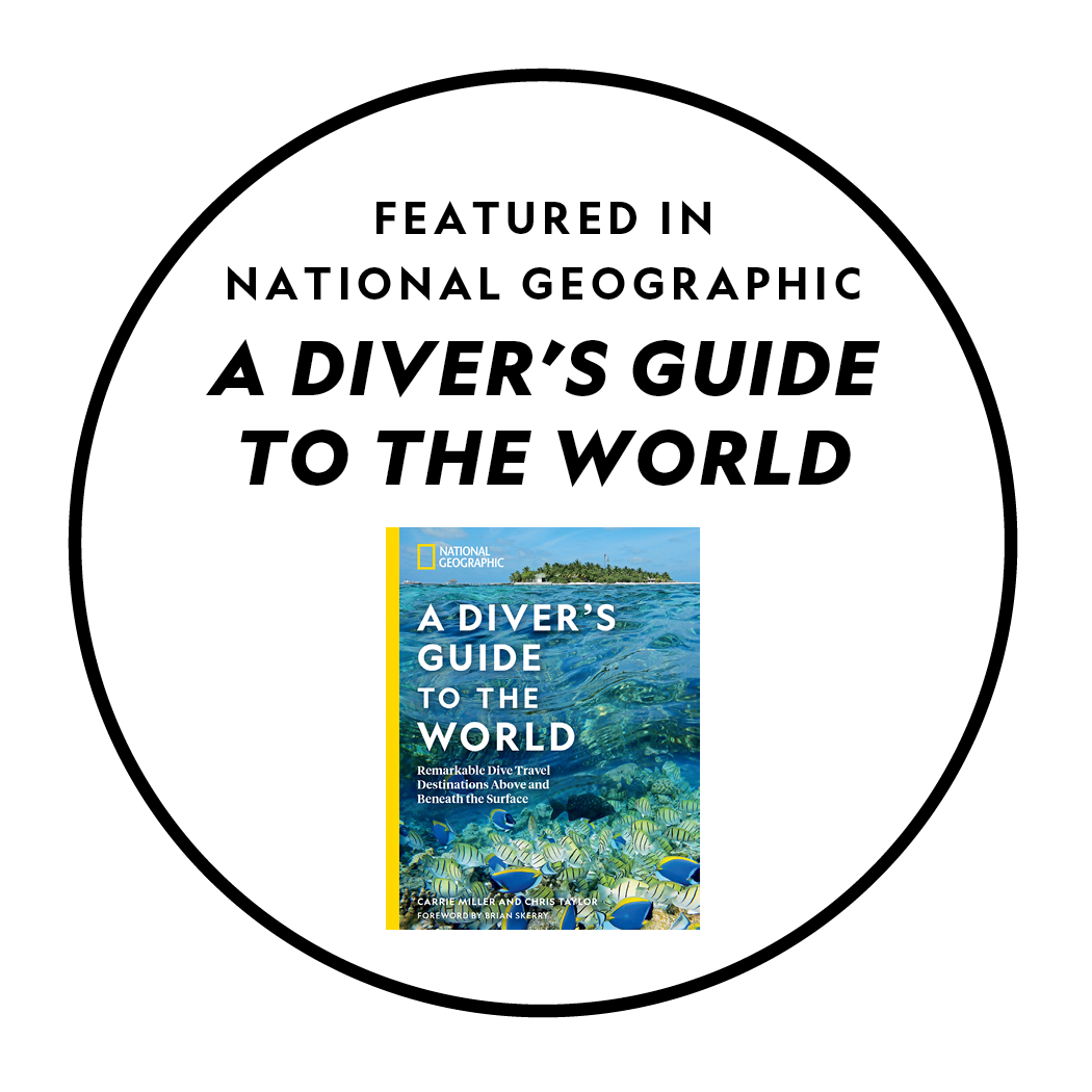 A Diver's Guide to the World_white badge